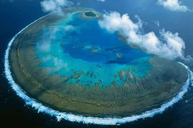 4111_queensland-islands-lady-musgrave-featured