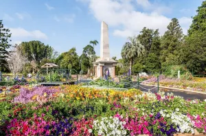 toowoomba-flowers